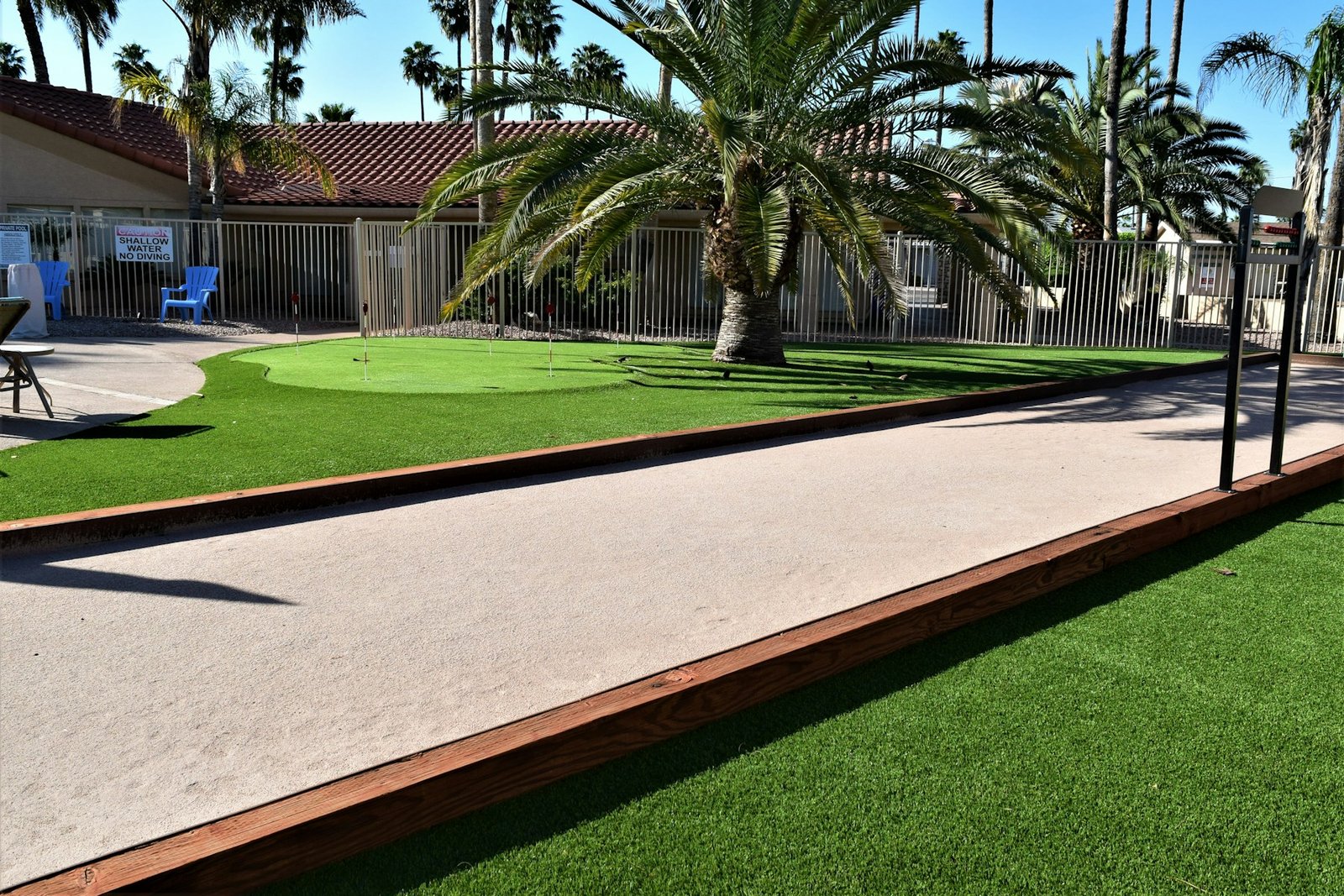 Palm-lined outdoor space with artificial turf and a putting green